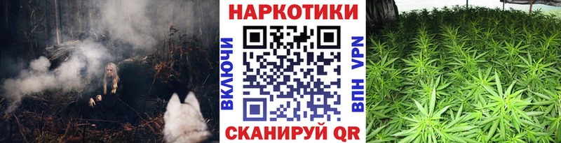 Наркошоп купить Псилоцибиновые грибы  Амфетамин  Гашиш  Мефедрон  СК  Видное