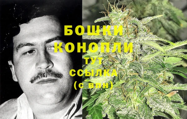 2c-b Каменка