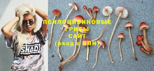 spice Каменск-Шахтинский